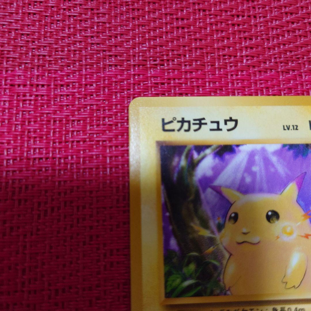 【極美品】旧裏　ピカチュウ ● 第1弾拡張パック　かじる