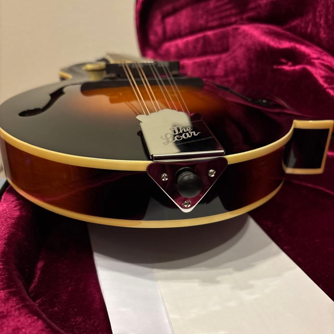 LOAR LM-520-VS フラットマンドリン