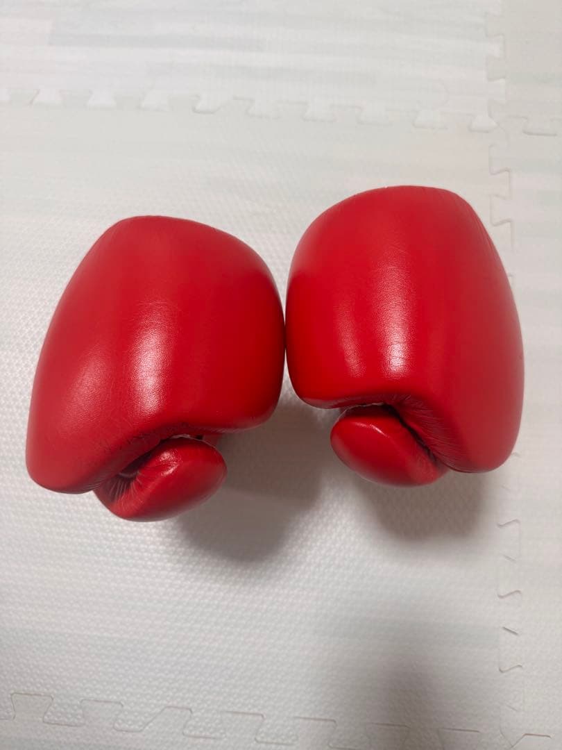 Winning ボクシンググローブ 8oz 赤
