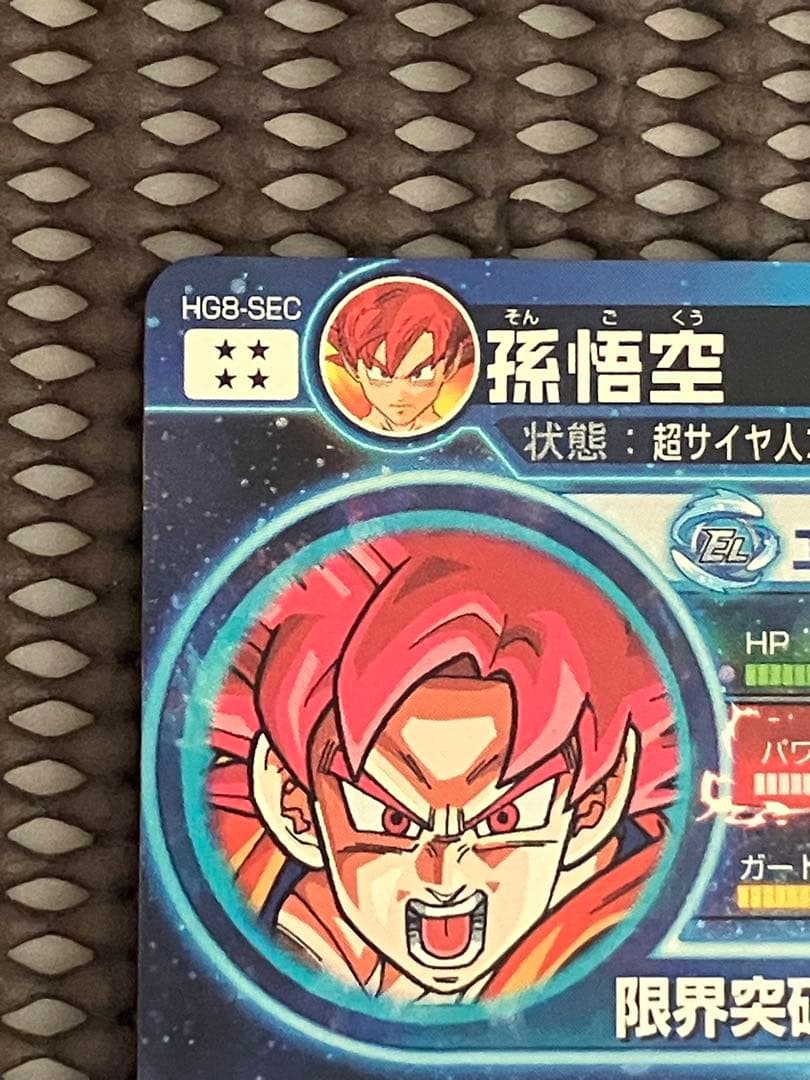 Hg8-sec 孫悟空　本家