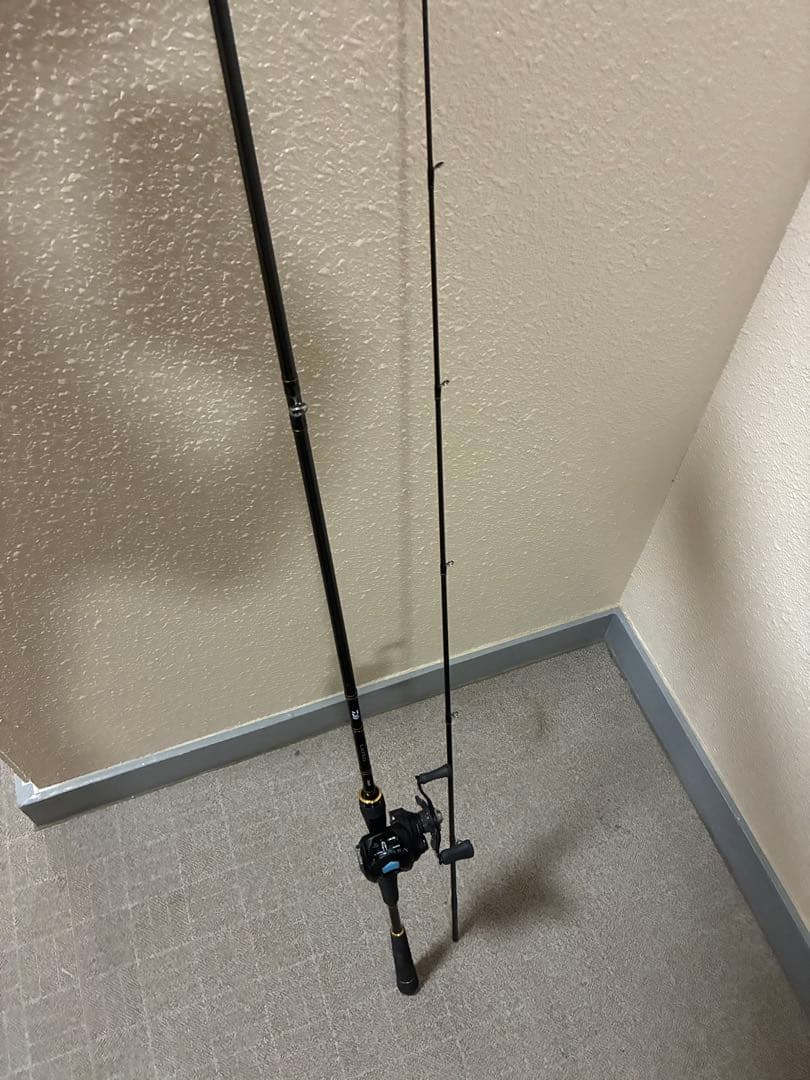ラテオ　86 LB タトゥーラ 80 セット