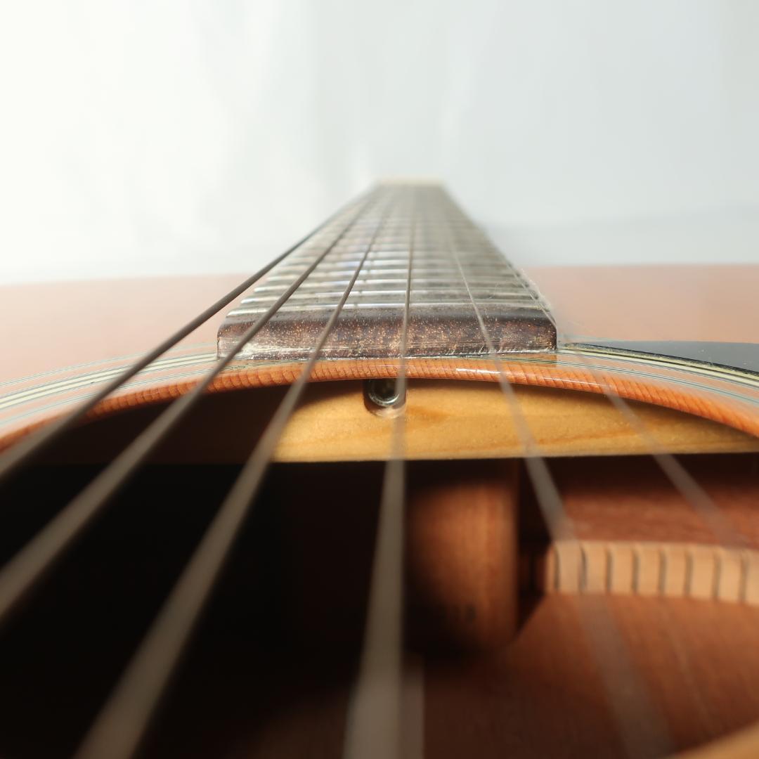 Aria Dreadnought AD-28 ギター ハードケース付 トップ単板