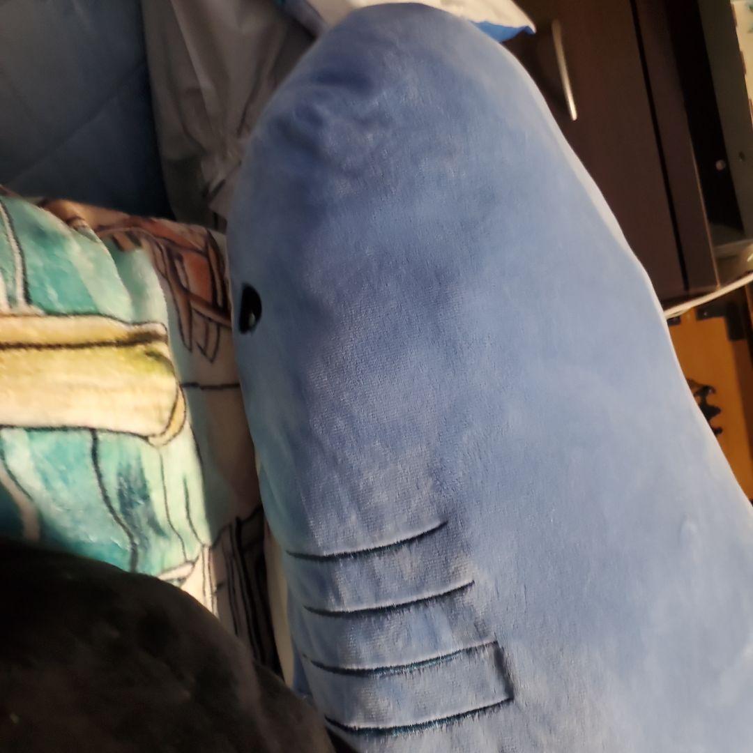 S賞サメとA賞シャチのぬいぐるみセット