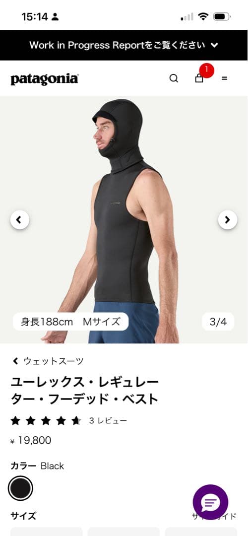 patagonia インナーウェットスーツ