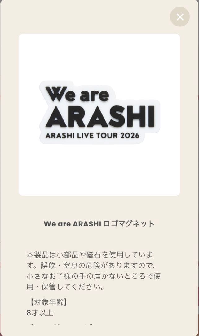 嵐LIVE TOUR 2026 バッグ・パンフレット　マグネット