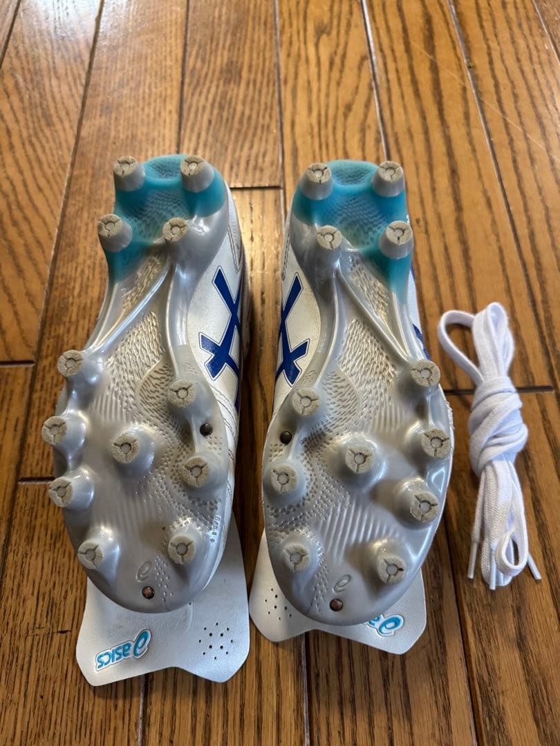 シューズ asics ds light pro 22cm