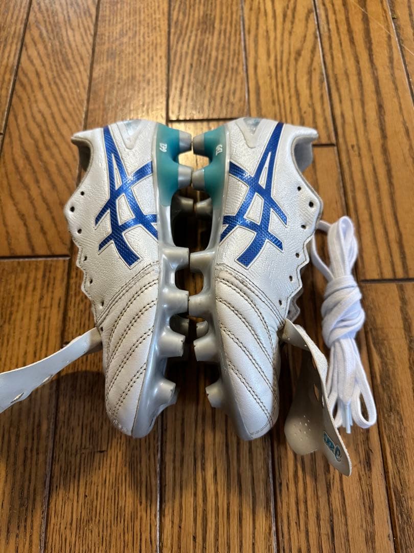 シューズ asics ds light pro 22cm