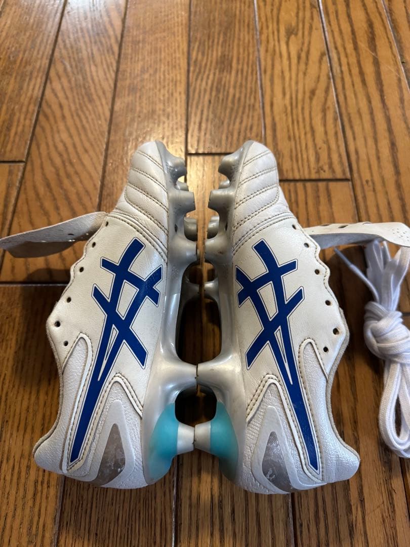シューズ asics ds light pro 22cm
