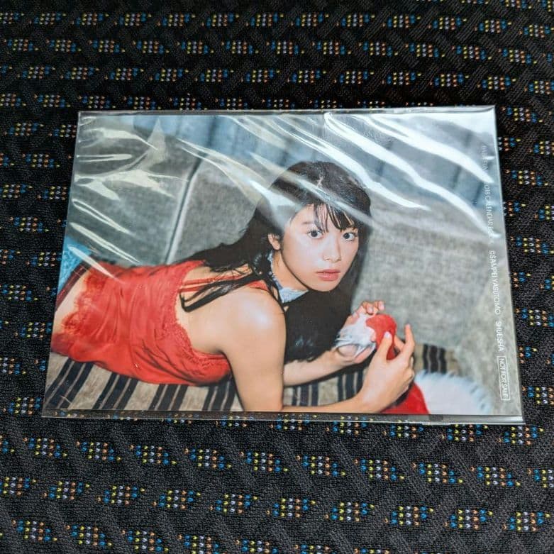 馬場ふみか　モデル　公式・購入特典　生写真セット 11枚セット