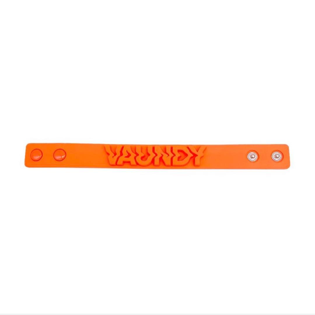 VAUNDY DOMETOUR2026 SILENCE T-shirt&ラババン
