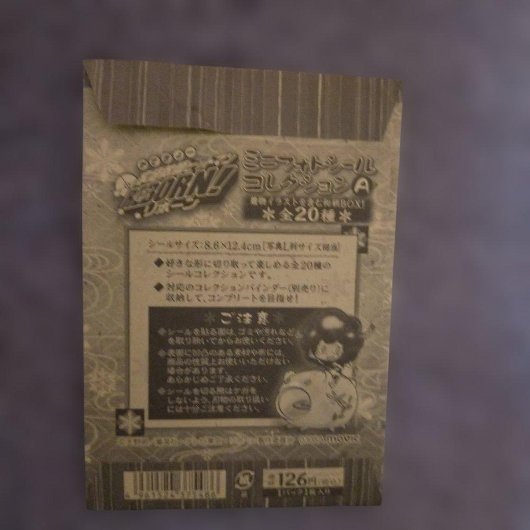 リボーン　ミニフォトシールコレクション　A11 雲雀＆ディーノ【平成レトロ】