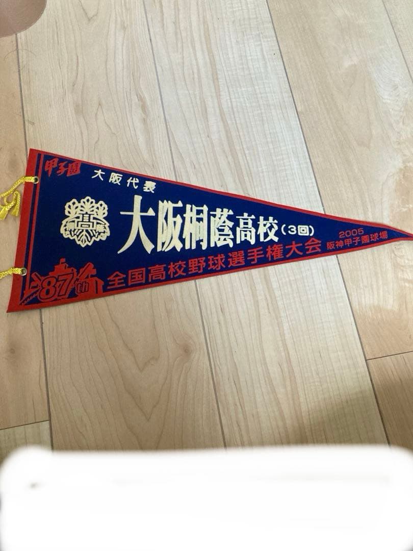 第87回全国高校野球選手権大会　甲子園出場校ペナント　まとめ売り