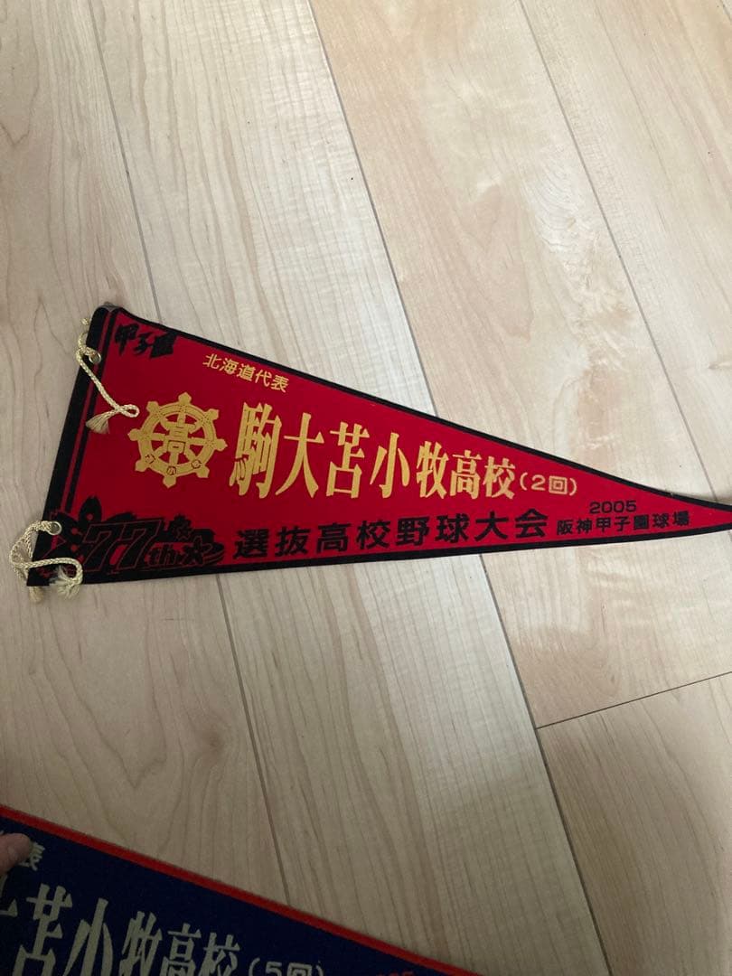 第87回全国高校野球選手権大会　甲子園出場校ペナント　まとめ売り
