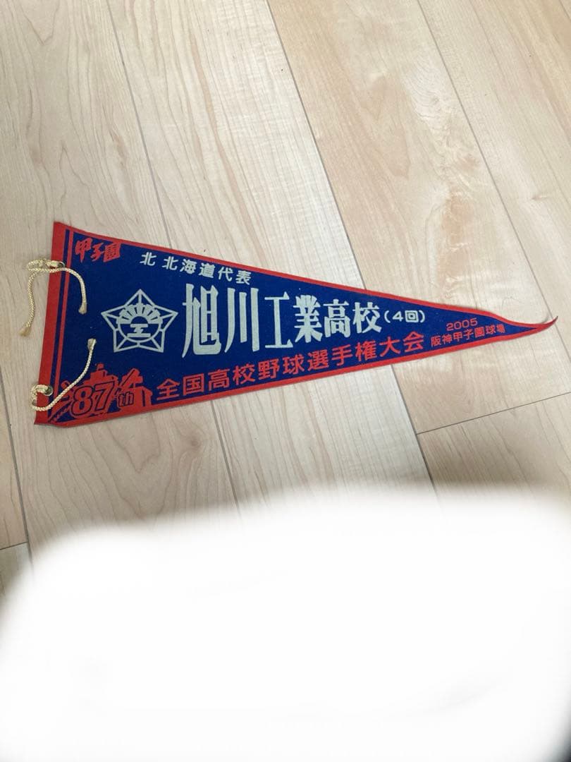 第87回全国高校野球選手権大会　甲子園出場校ペナント　まとめ売り