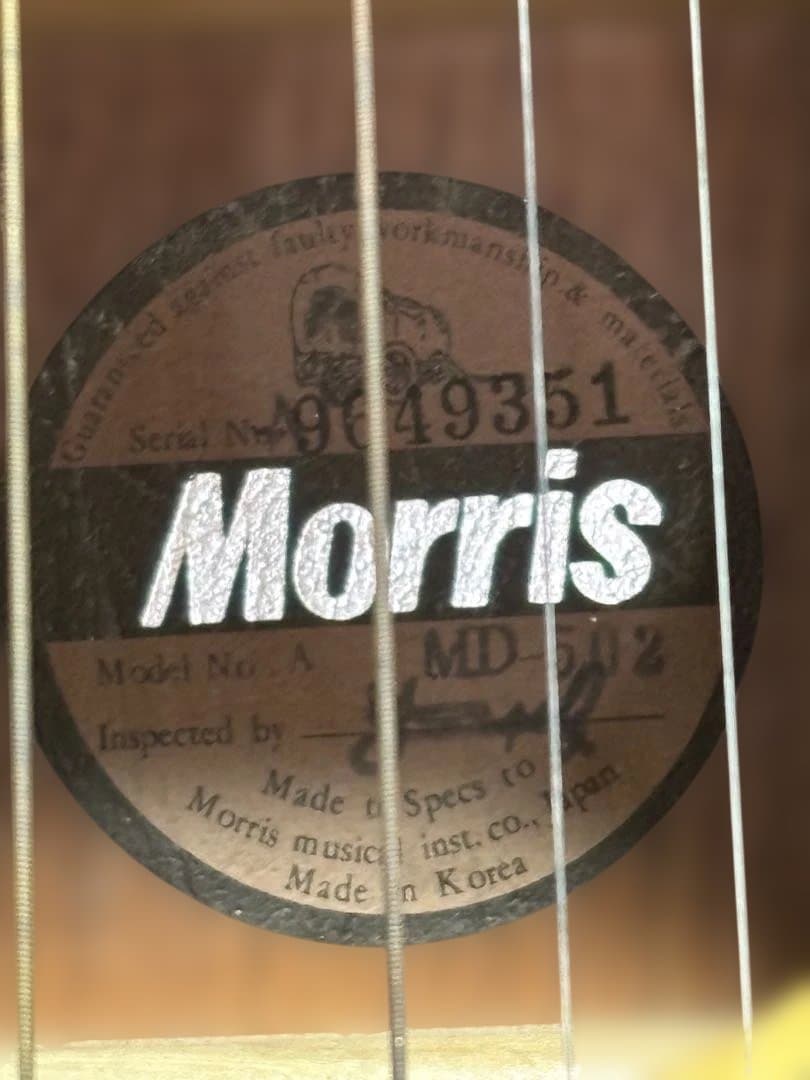 Morris アコースティックギター