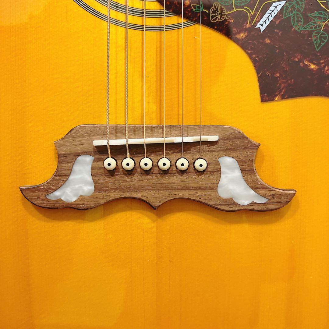 Epiphone エピフォン DOVE PRO VB エレアコ ソフトケース付き