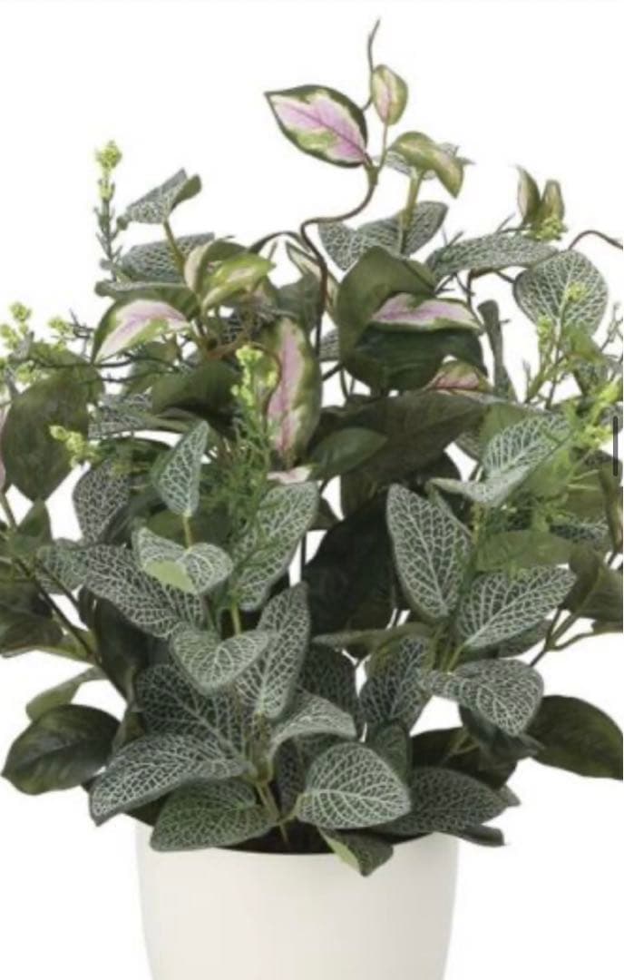 光触媒　人工観葉植物　ウォールグリーン　フェイクグリーン　ミックスフィットニア