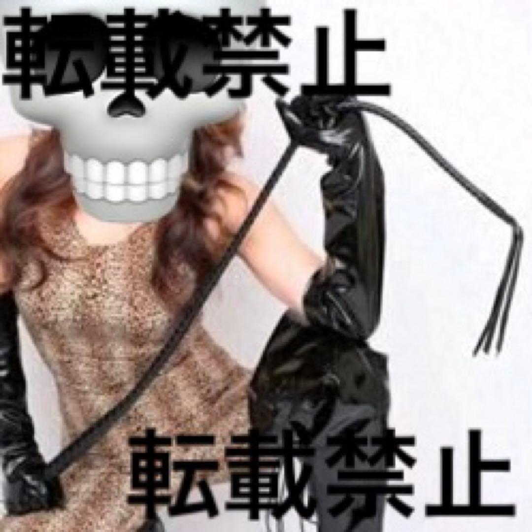 一本鞭鞭レザー