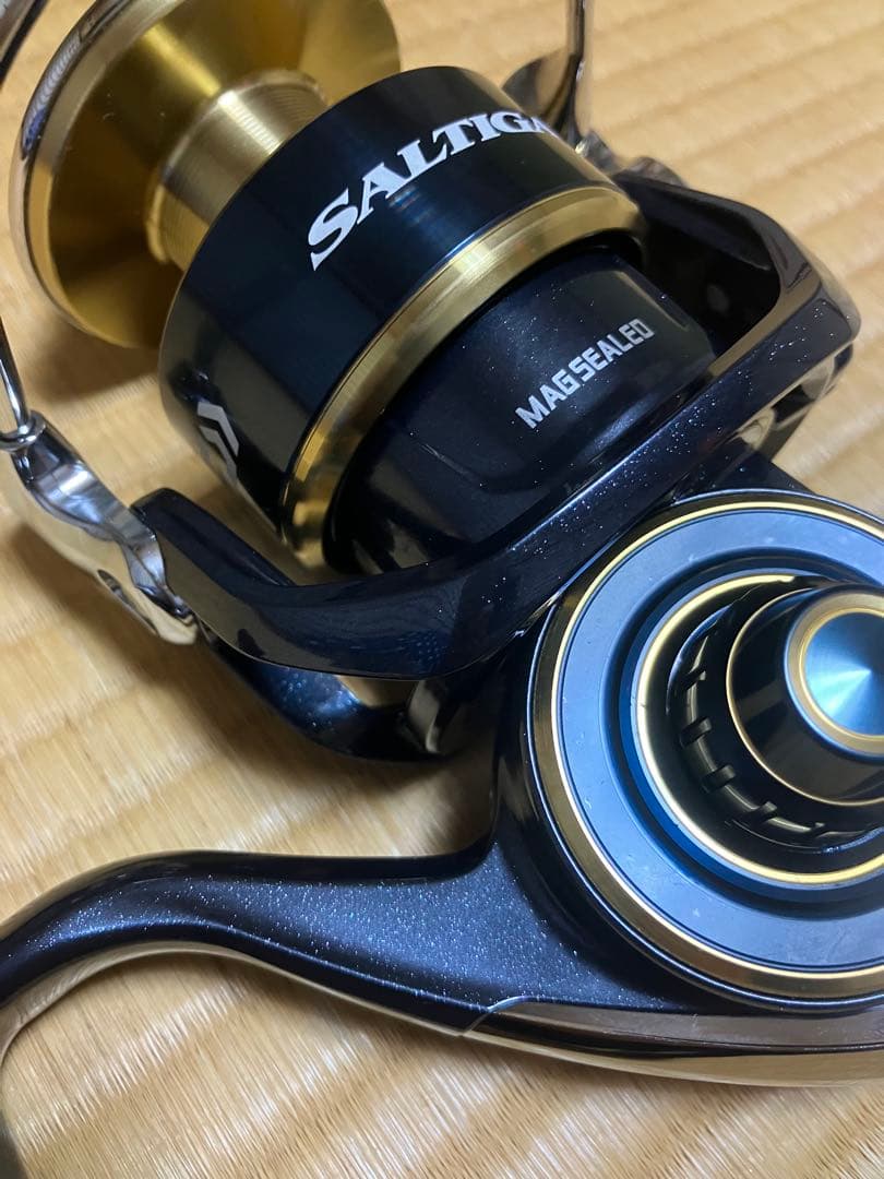 Daiwa ダイワ　20 SALTIGA 20 ソルティガ　10000-H