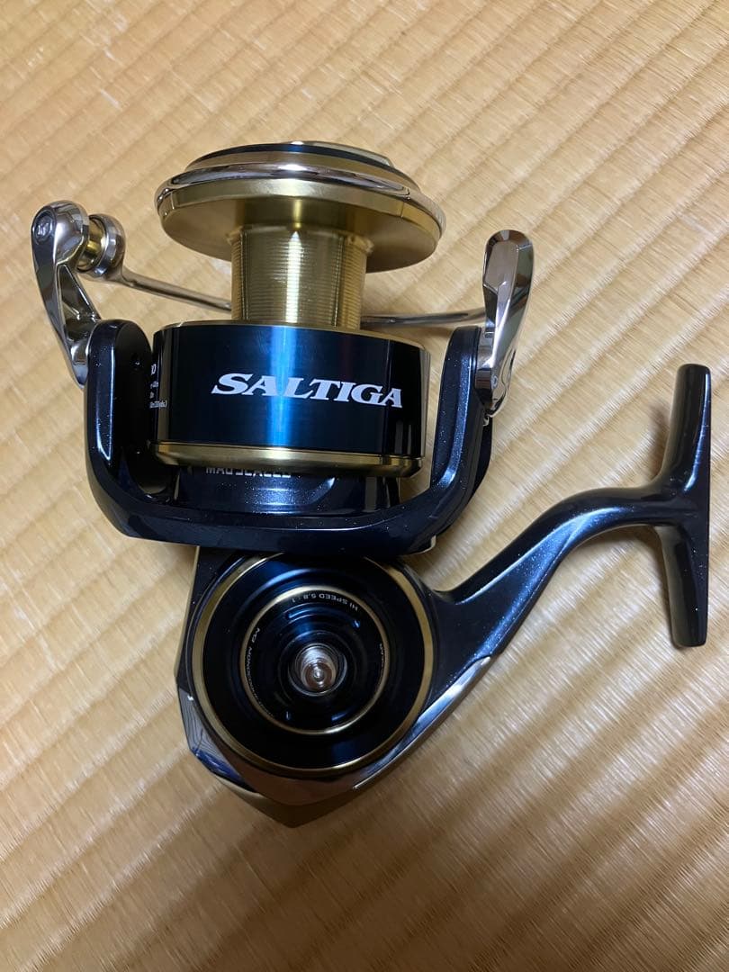 Daiwa ダイワ　20 SALTIGA 20 ソルティガ　10000-H