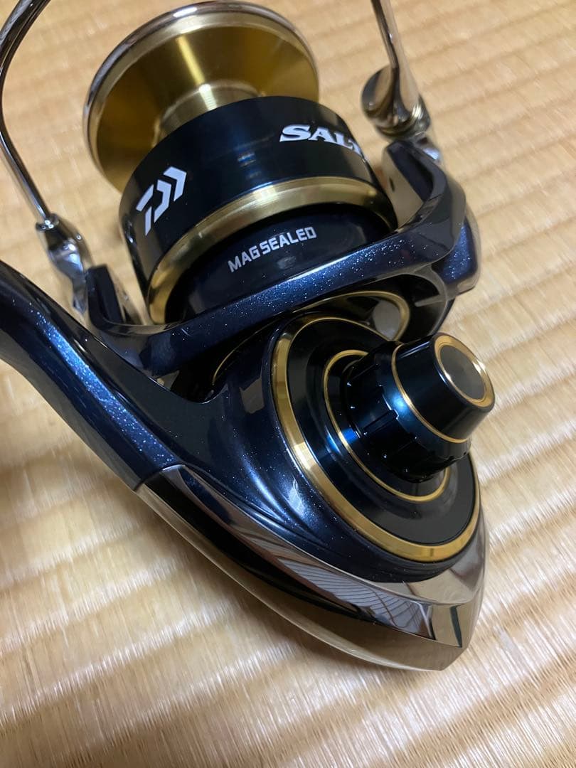Daiwa ダイワ　20 SALTIGA 20 ソルティガ　10000-H