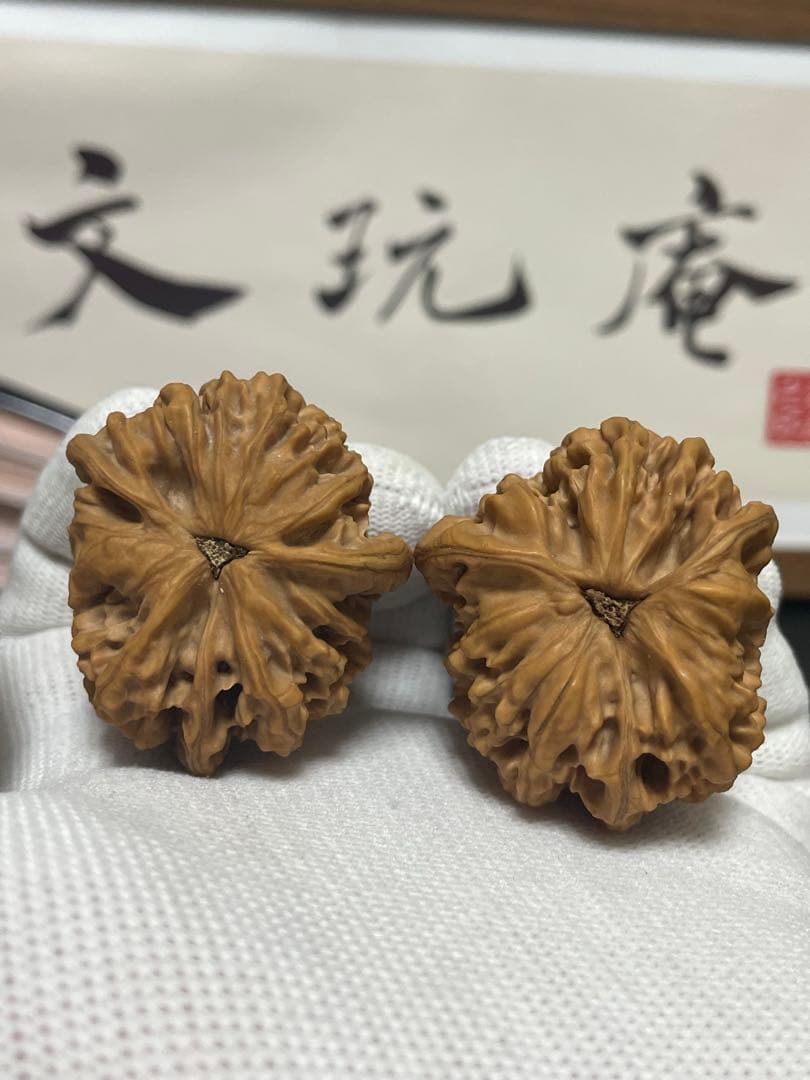 新入荷❤️No.716❤️文玩くるみ（文玩核桃） 帝王くるみ　三ムキ
