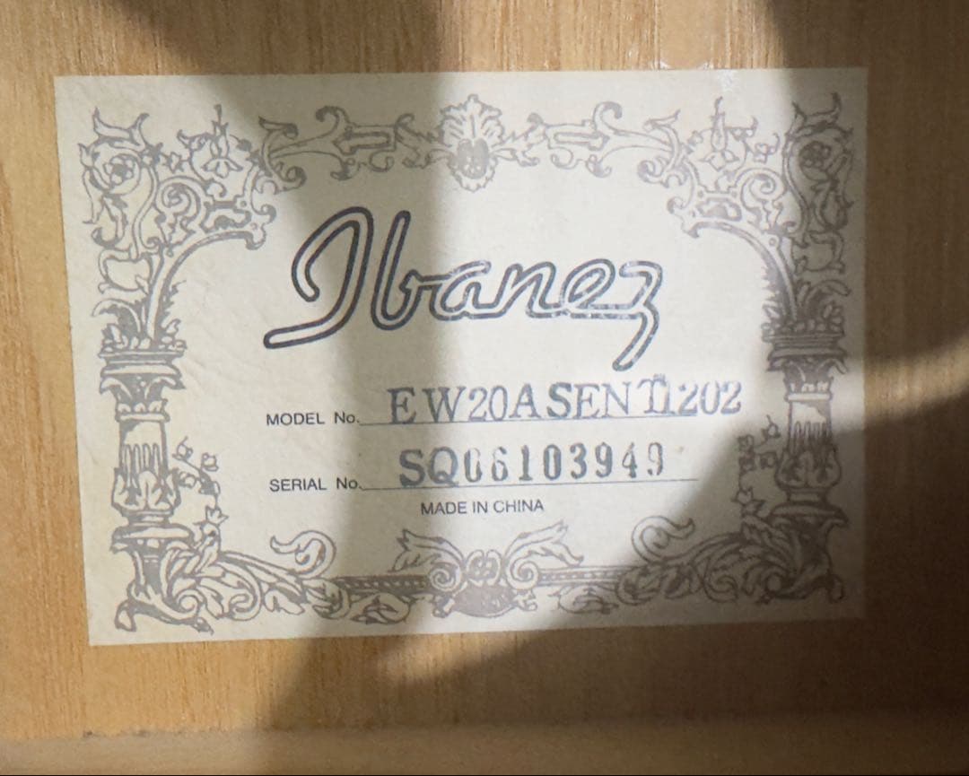 ibanez EW20ASENT1202 エレアコ ソフトケース付き