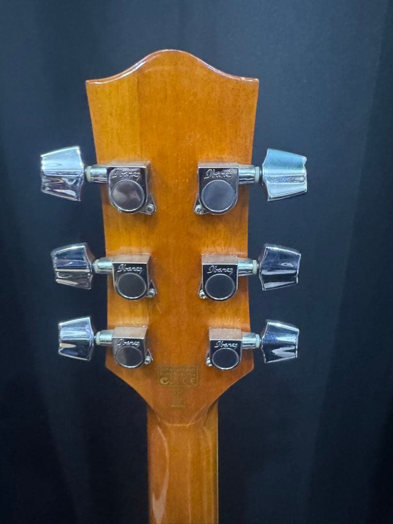 ibanez EW20ASENT1202 エレアコ ソフトケース付き