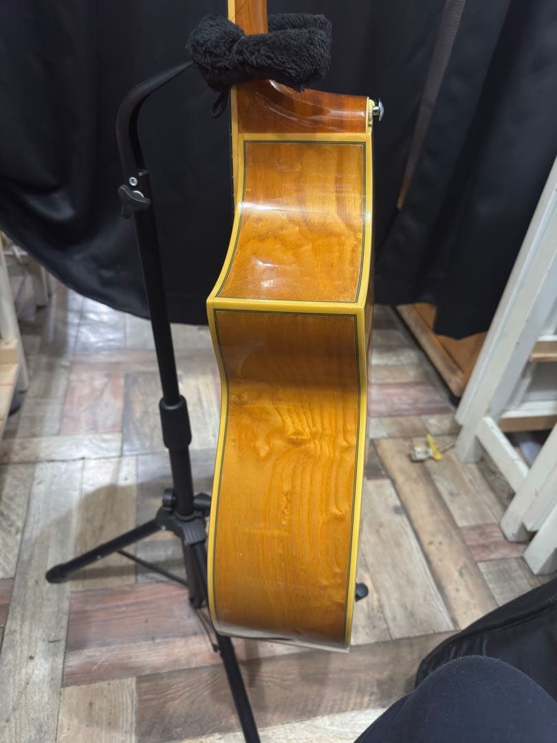 ibanez EW20ASENT1202 エレアコ ソフトケース付き