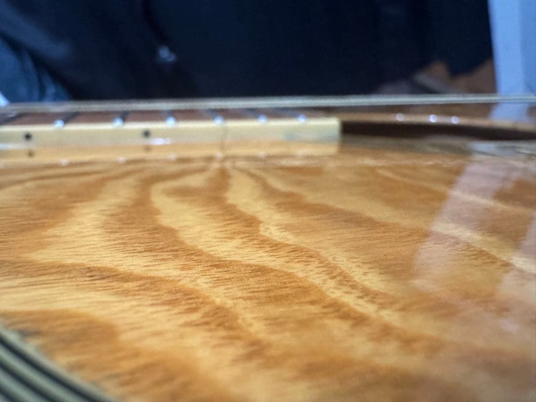 ibanez EW20ASENT1202 エレアコ ソフトケース付き