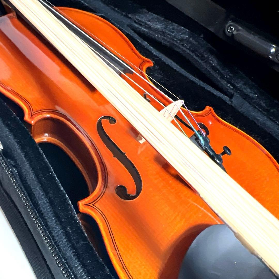 【美品】Andreas Eastman VL80 1/10 イーストマン