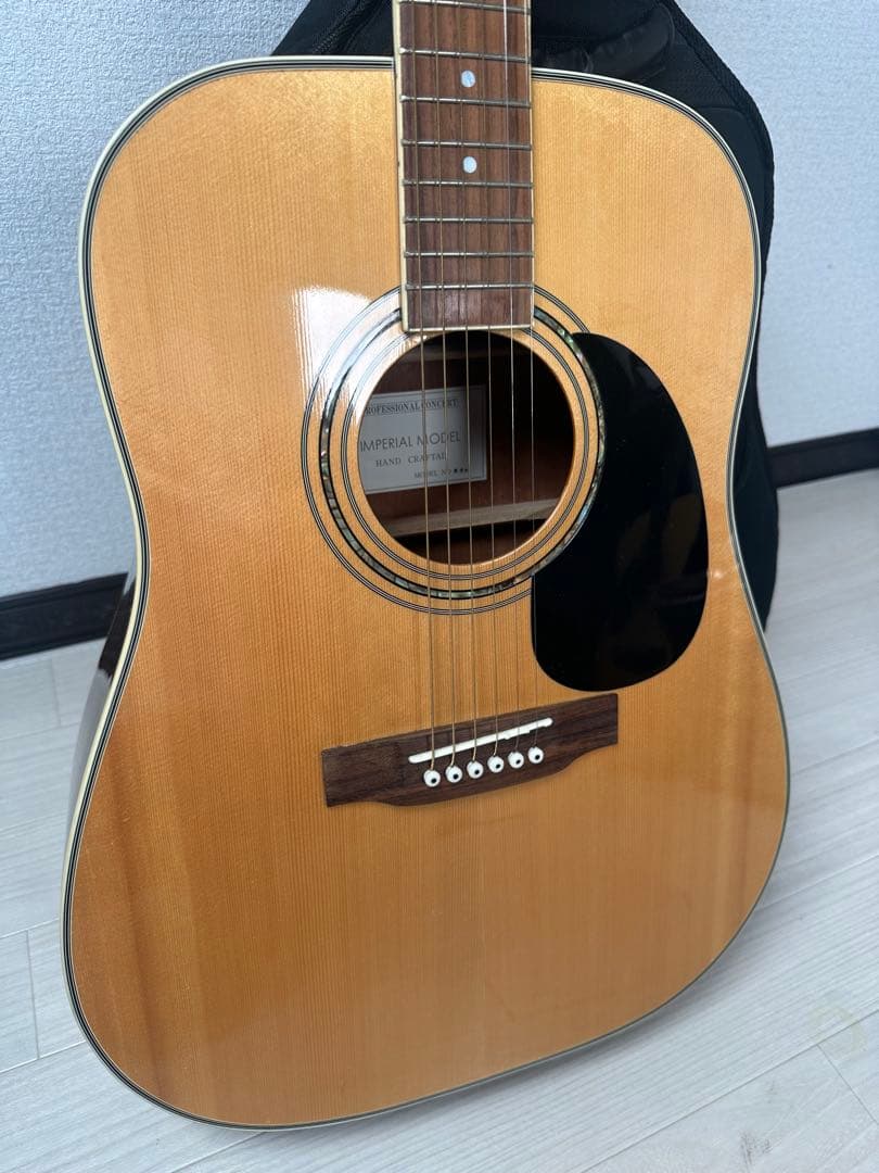 Jay Turser MODEL No. 500 プロ仕様 ※31※