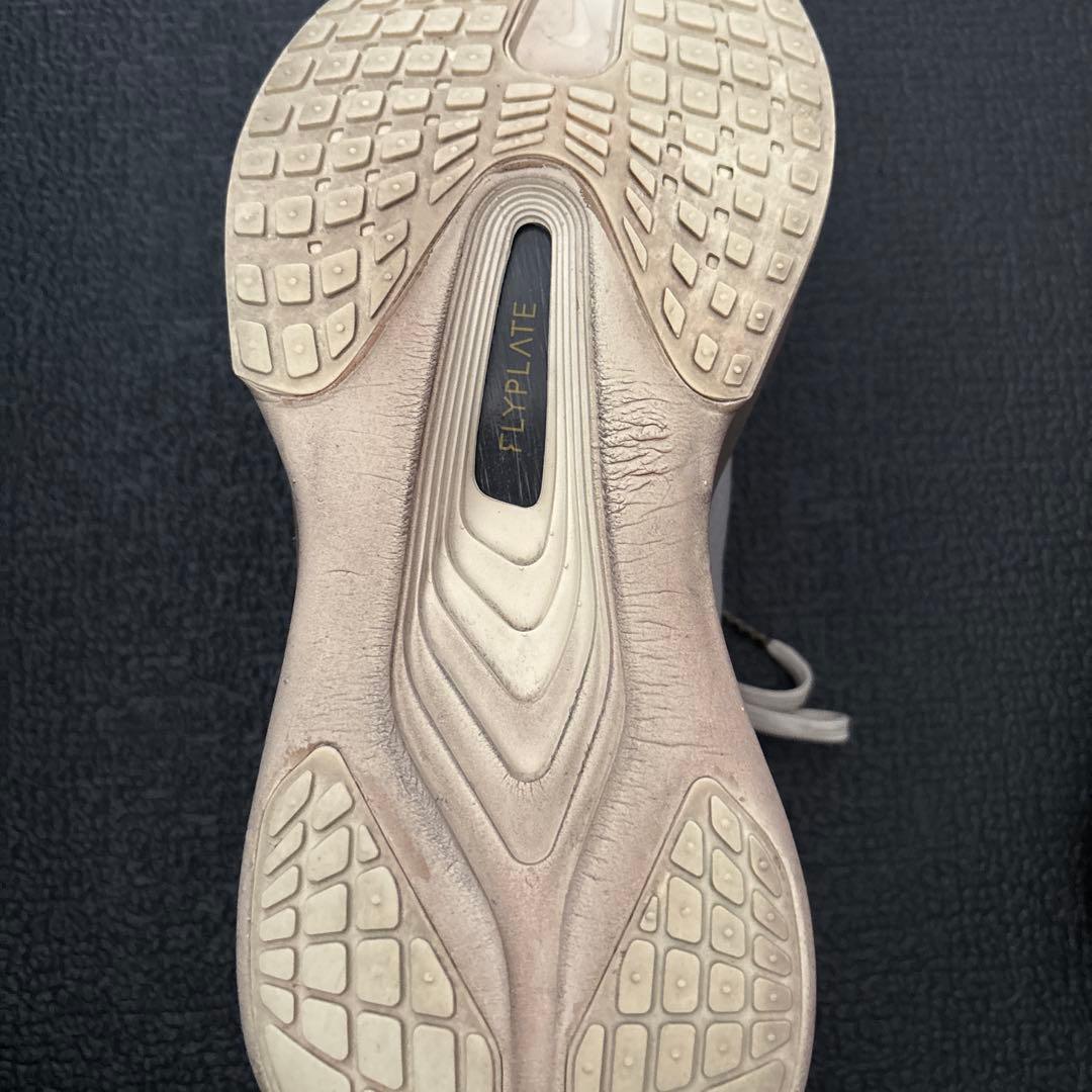 Nike zoom fly6 プレミアム 28cm