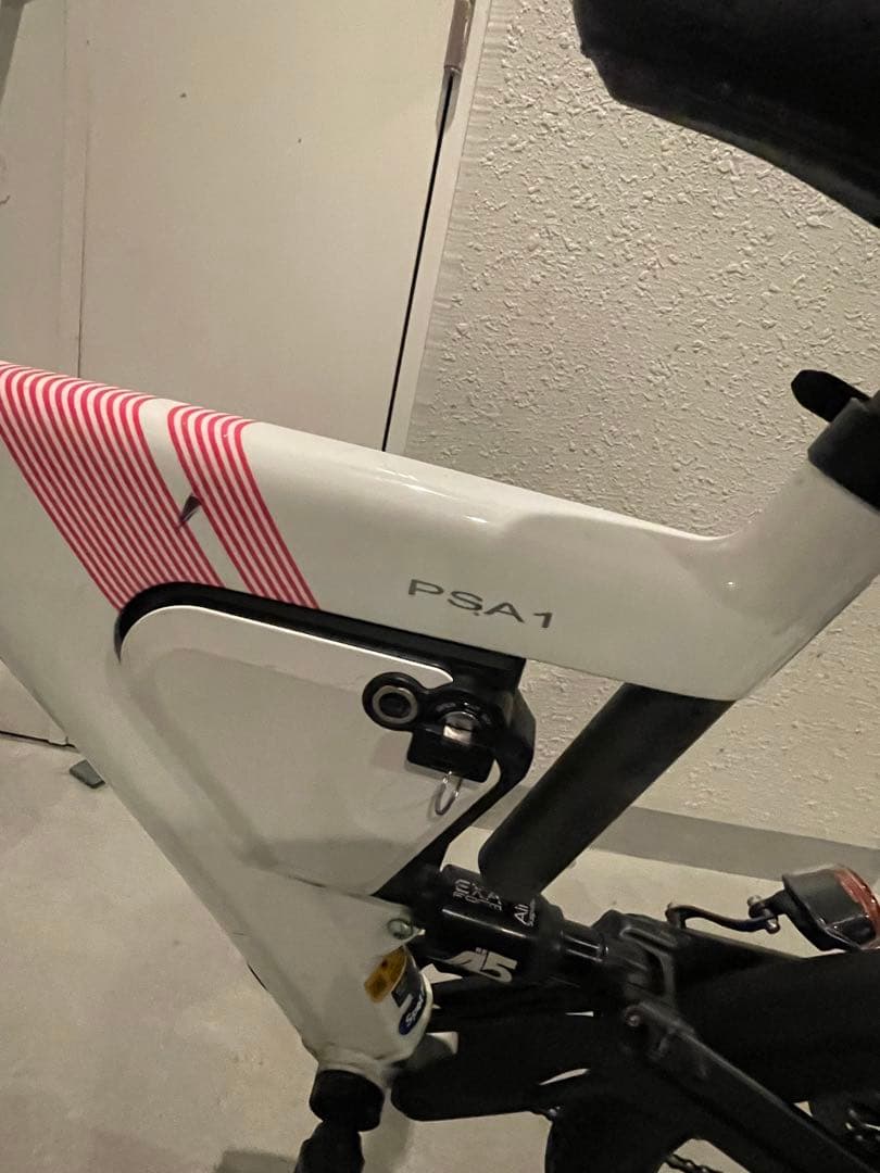 【値下げ】Besv psa1 電動アシスト自転車20インチ 7段変速