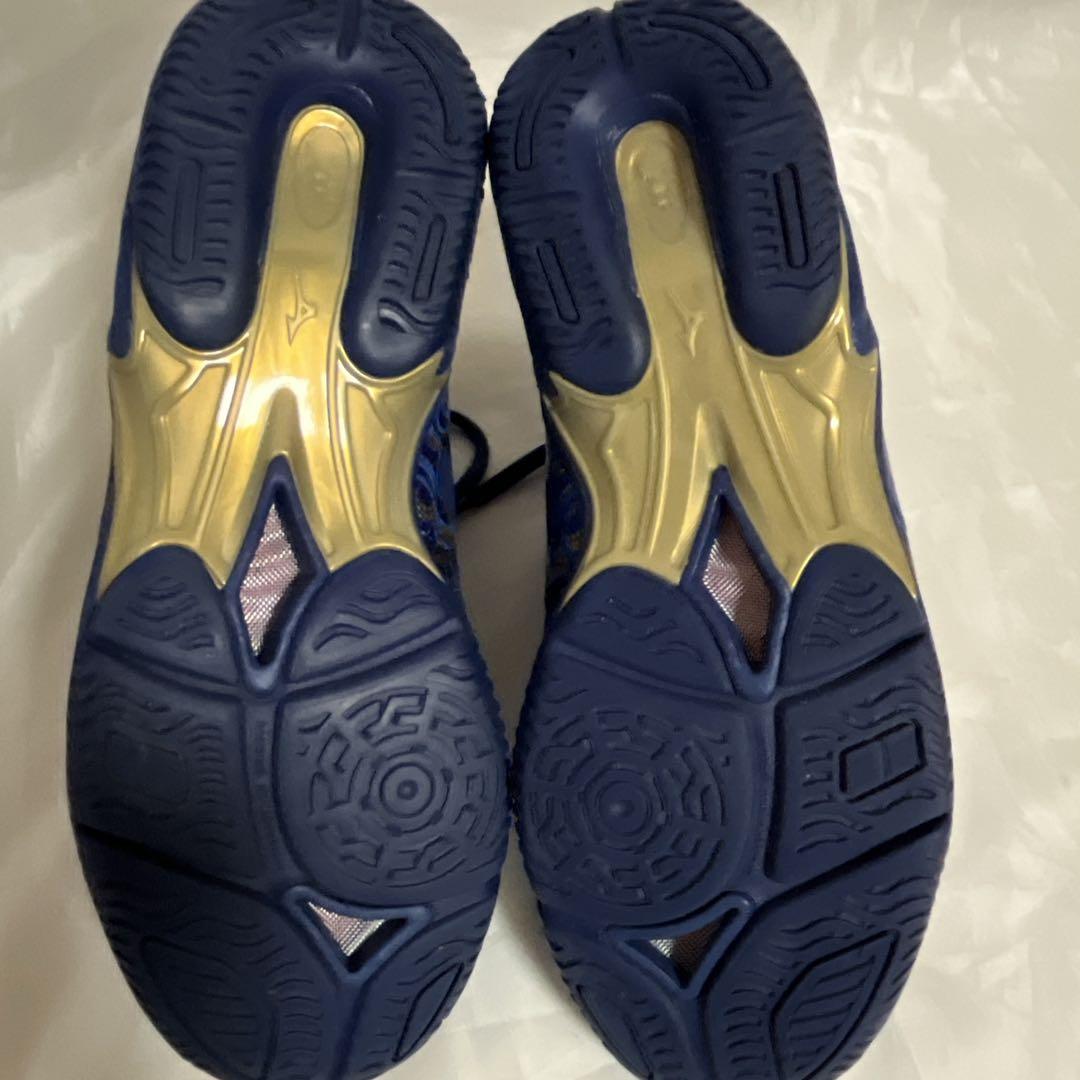 ⭐️MIZUNO⭐️ウエーブダイバースLG3 リミテッド 限定 フィットネスシューズ