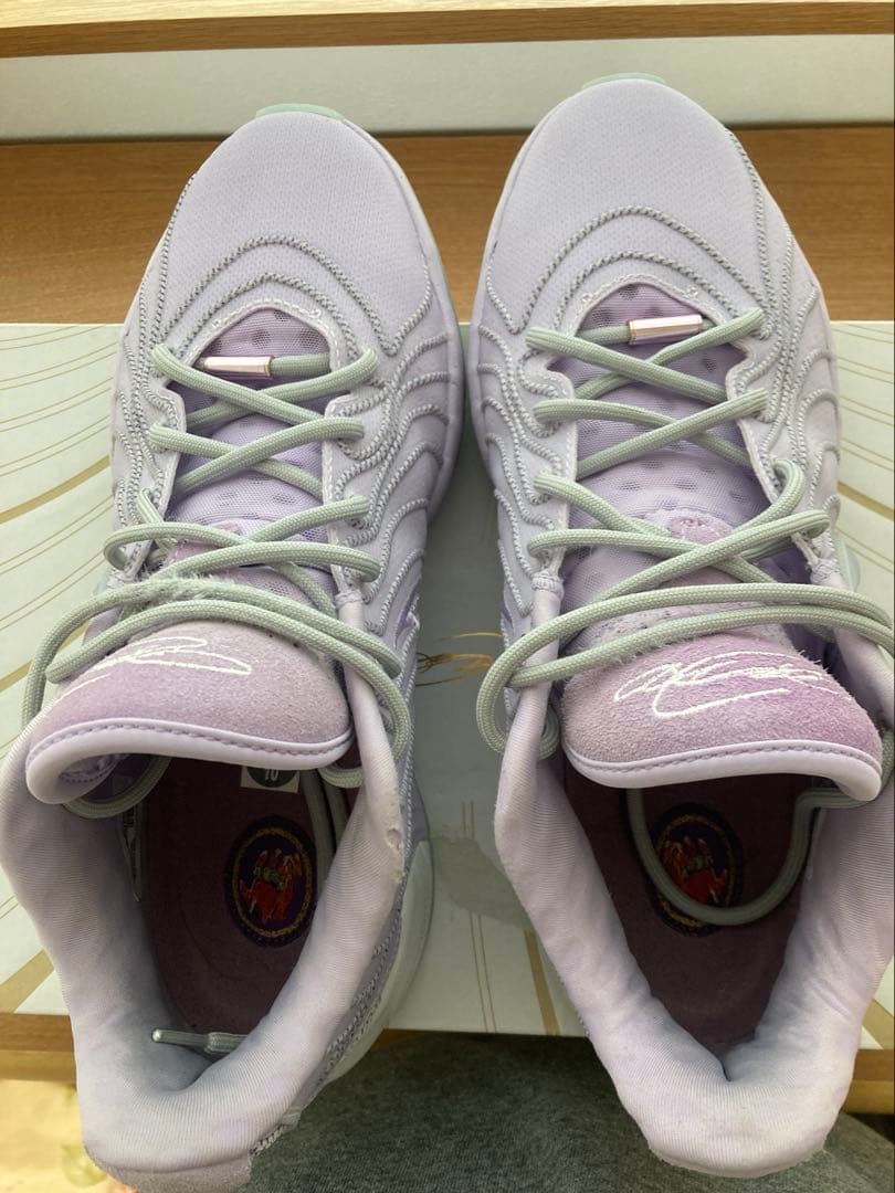 lebron21 レブロン21 28cm グローバルラスト
