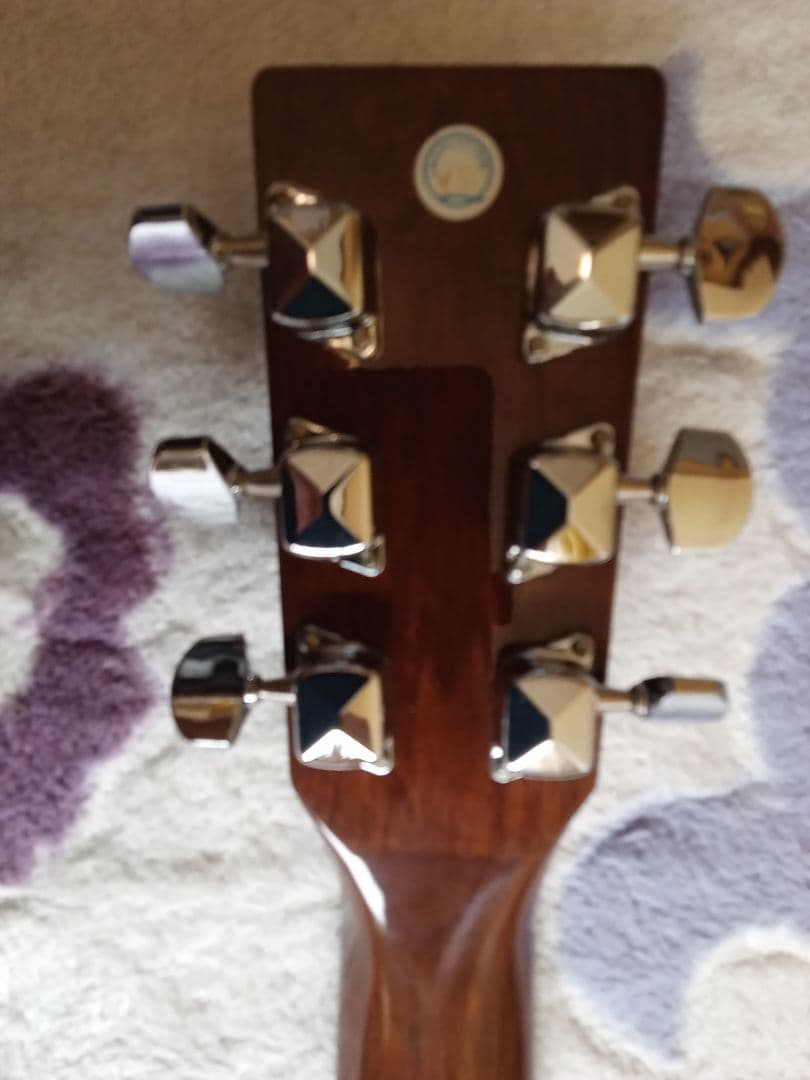 【美品❗】Takamine T-1ATBS 　新品ケース
