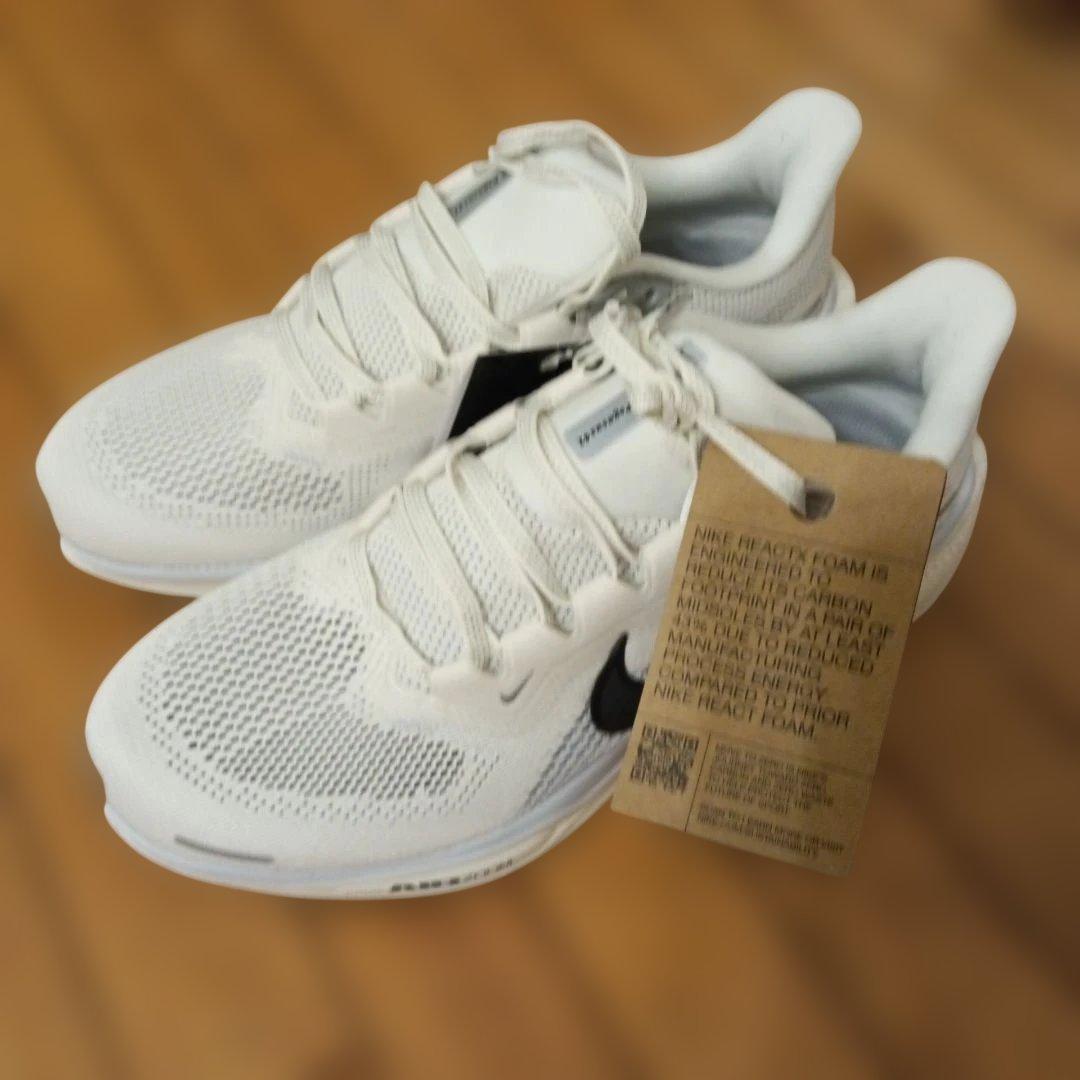 Nike Air Zoom ペガサス41 pegasus41 25.5cm