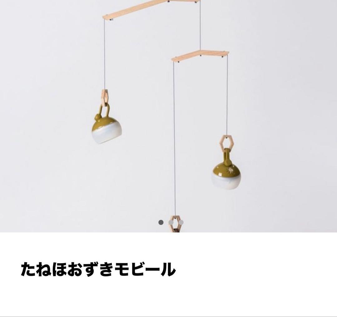 たねほうずきセット