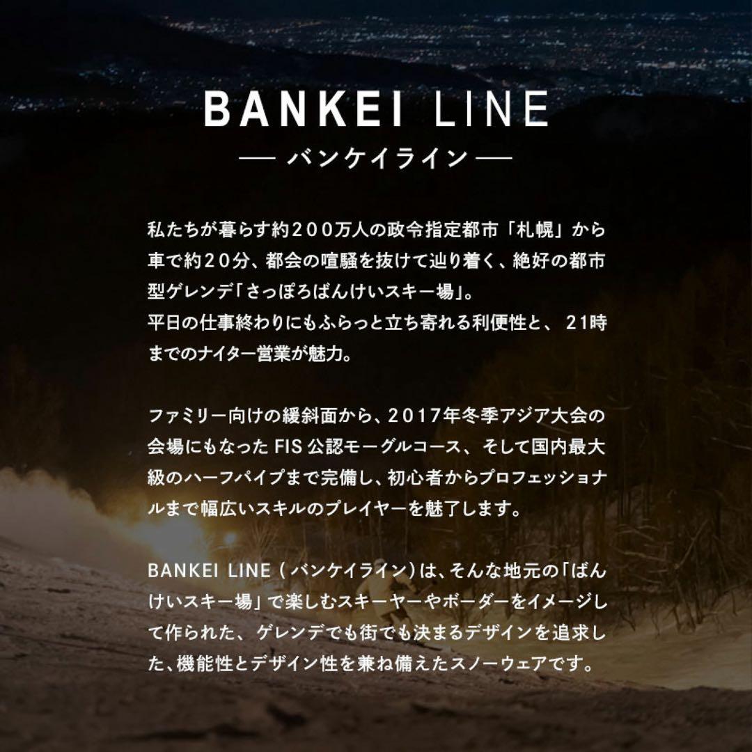 【上下セット】スノーボードウェア XL ブラック DLITE 4ss