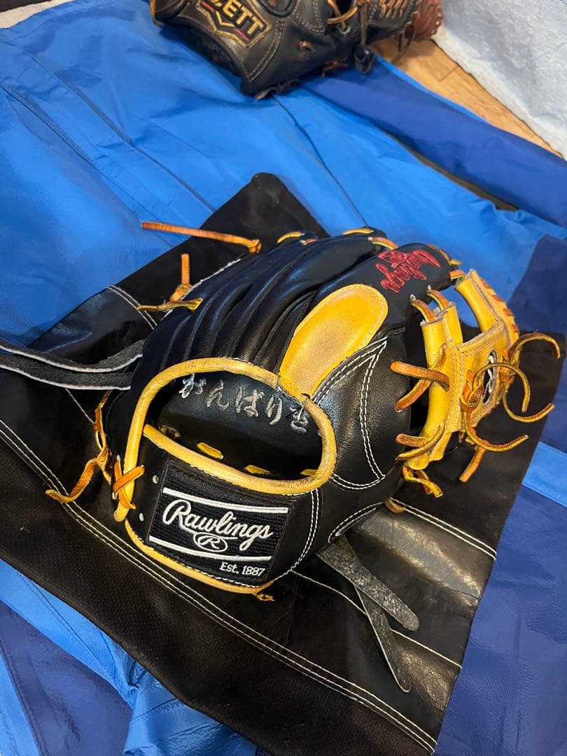 Rawlings 硬式グローブ 黒/黄色