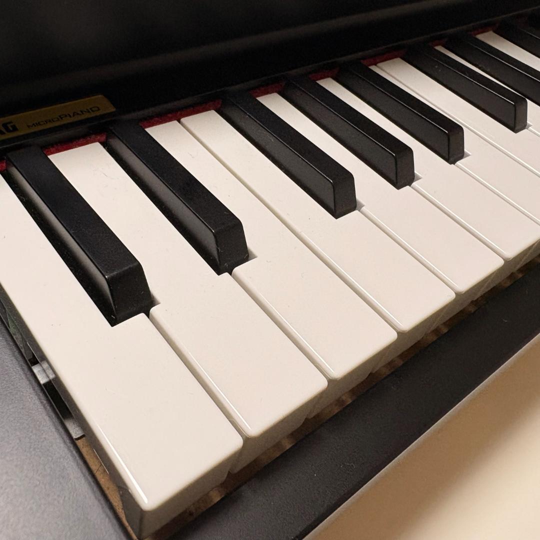 Y【中古品】KORG microPIANO キーボード ケース付き 61鍵 S