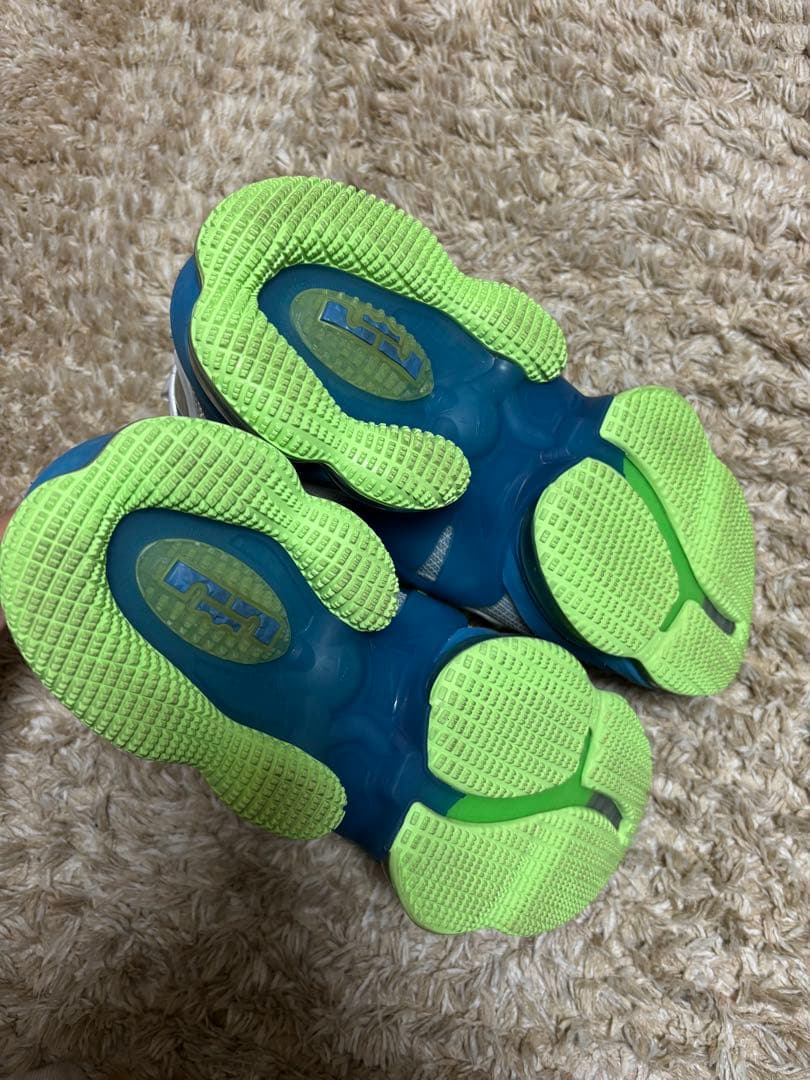 NIKE ナイキレブロン 19 NIKE LEBRON XIX 26.5cm
