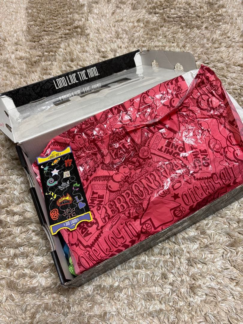 NIKE ナイキレブロン 19 NIKE LEBRON XIX 26.5cm