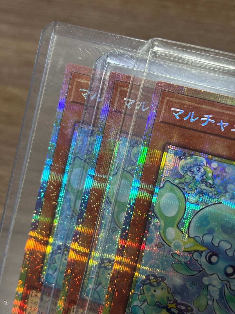 マルチャミープルリア プリシク