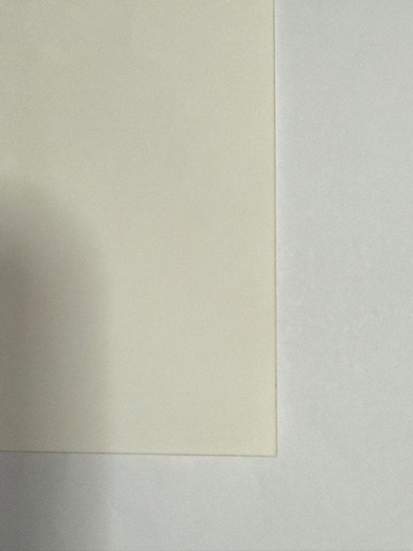 横山由依生写真【非売品】【最終在庫1点限り】【匿名配送】【送料出品者負担】
