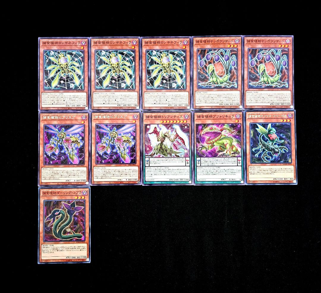 遊戯王 【本格構築】捕食植物 構築済みデッキ プレデタープランツ スターヴ 融合