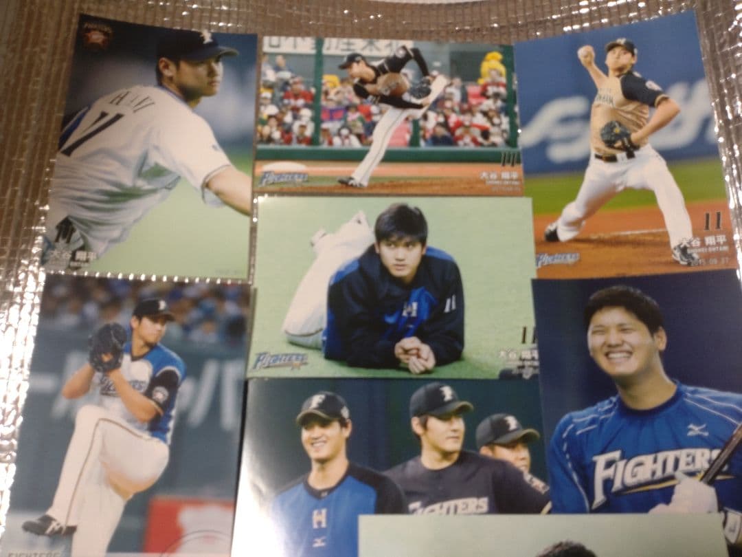 大谷翔平 ハイライトフォト 球団公式写真 ⑦ 10枚セット 日本ハム