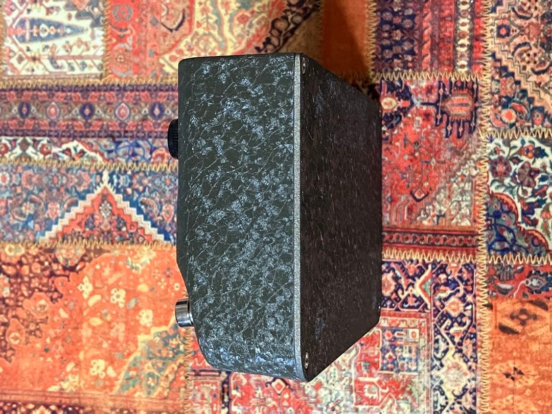 ギター WARM AUDIO WA-C1
