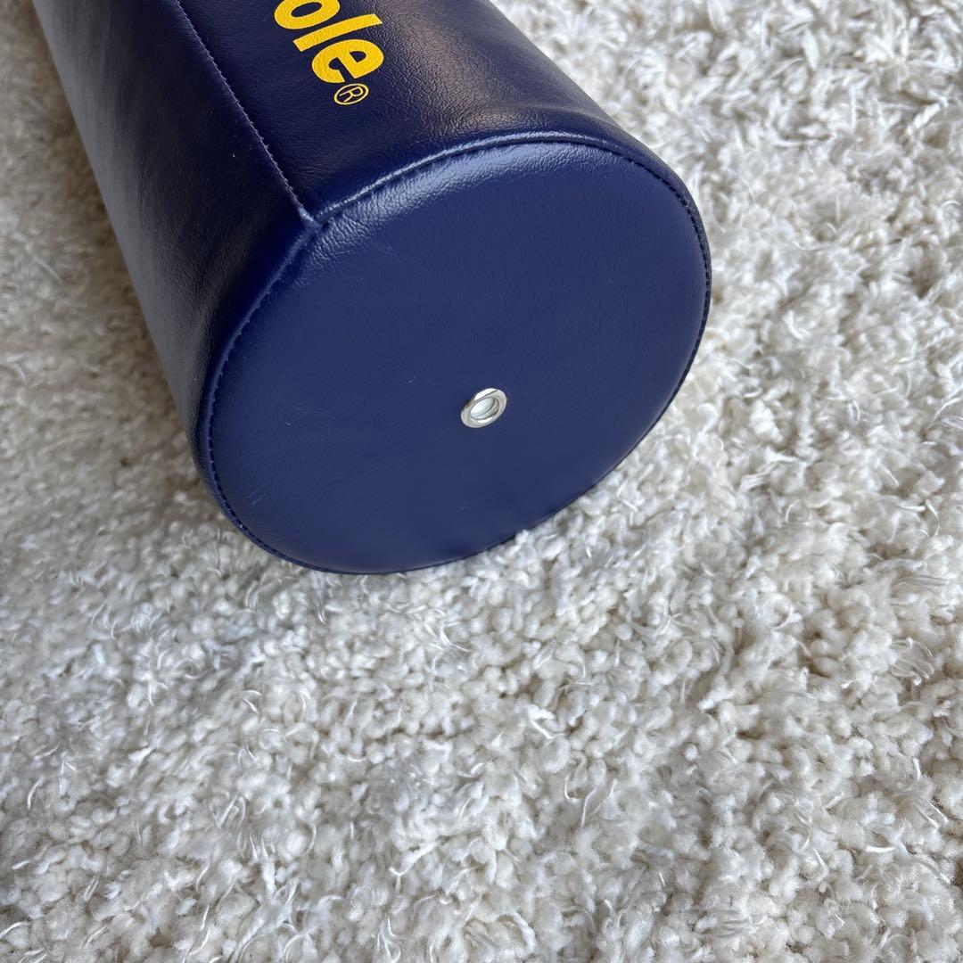 LPN社製 Stretch Pole ストレッチポールEX